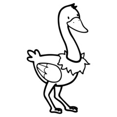 Ostrich cartoon illustration isolated on white background for children color book