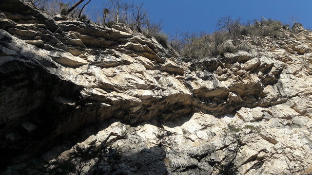 ROCAS 