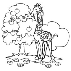 Giraffe cartoon illustration isolated on white background for children color book