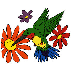 Cute humming bird cartoon illustration isolated on white background for children color book