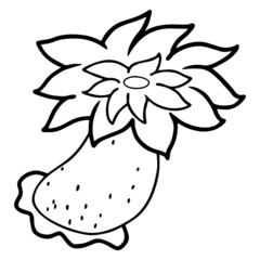 Anemone cartoon illustration isolated on white background for children color book