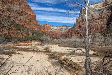 Zion Canyon, Utah after a winter storm.
