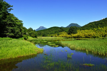 神楽女湖のハナショウブ