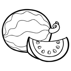 Cute watermelon cartoon illustration isolated on white background for children color book