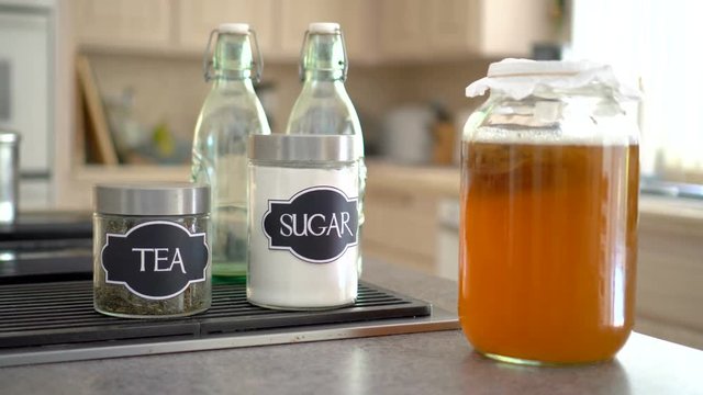 Camera pans across the kitchen and stops on the counter on which stands a large jar of kombucha tea and ingredients to make a new batch