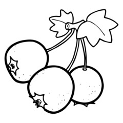 Hawthorn cartoon illustration isolated on white background for children color book