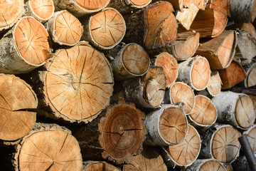 Fototapeta premium pile of firewood