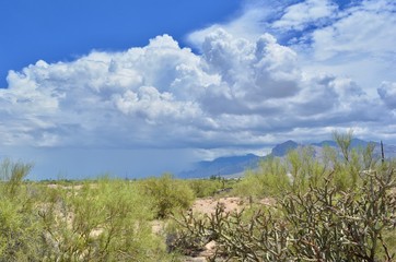 Fototapeta na wymiar Monsoon Season Tucson Arizona Clouds Sky Santa Catalina Mountains Rain Desert