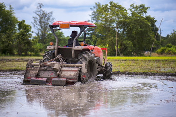 tractor is preparing the area for growing rice