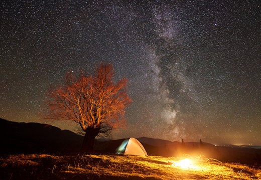 Amazing night camping site view. Bright campfire burning near tourist tent under beautiful sky full of stars and Milky way. Big tree and distant mountain range on background