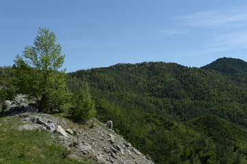 Mountain landscape on the pass Chike-Taman. Mountain Altai