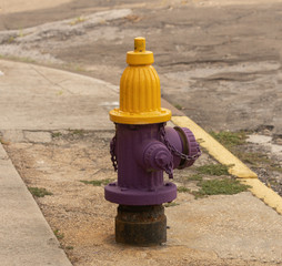 fire hydrant painted in purple and yellow