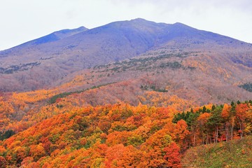 紅葉の不忘山麓