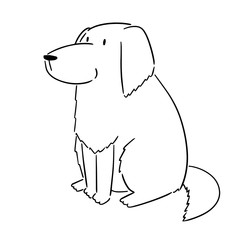 vector of dog, golden retriever