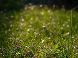 background with plenty of copy space