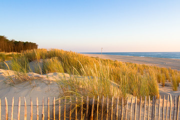 plage de la lagune