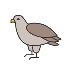eagle, animal in zoo icon set, filled outline design