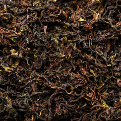 Drying and fermentation of tea willow
