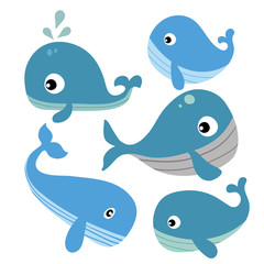 whale vector collection design