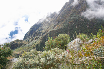 Beautiful background image of the wild nature of the Andes mountains and clouds along the Inca Trail. Peru. South America. No people.