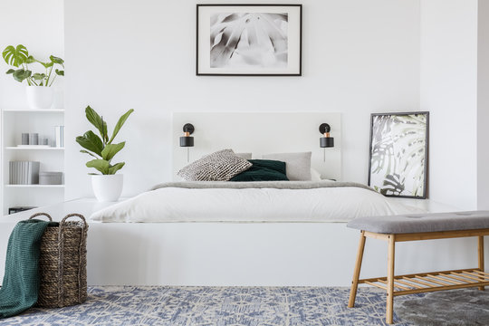 Real photo of a king-size bed standing in a white bedroom interior with plant next to it, poster above and shelves in the background
