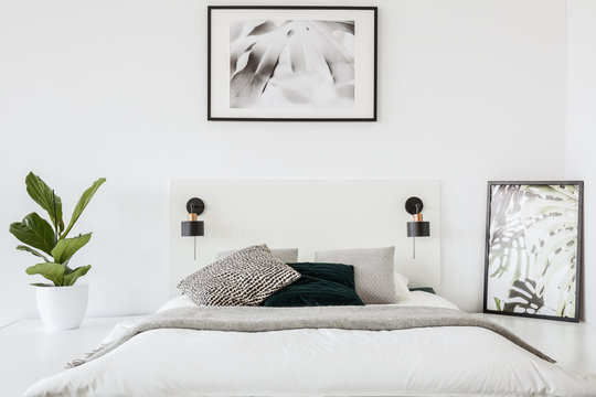 Real photo of a bed standing in a white bedroom interior with a plant and two posters