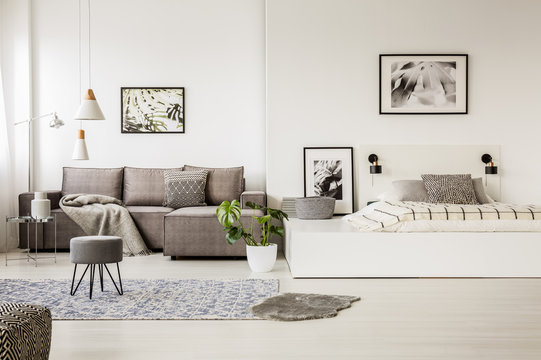 Real photo of a grey sofa standing next to a bed in monochromatic, spacious room interior with lamps, posters, rug and plant