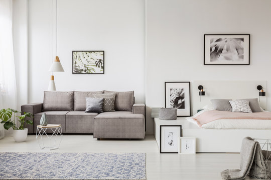 Real photo of a grey couch standing next to a platform bed in spacious one room flat interior
