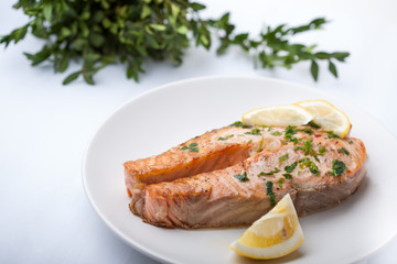 Salmon slice with a lemon and green parsley