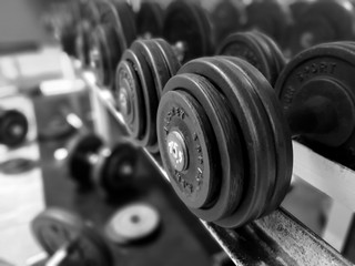 Fitness