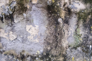 Texture of a wall in the city. World. Perfect wallpaper background. No people.