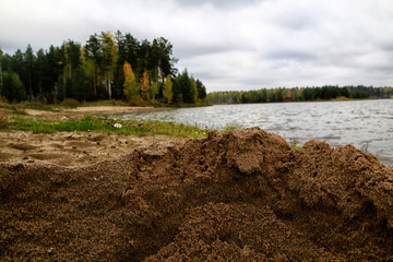 Sandy beach near calm lake and forest background