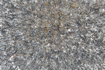 Money Pho in the roof wrote for name prayer in Wat Rong Khun Temple, Chiang rai,Thailand