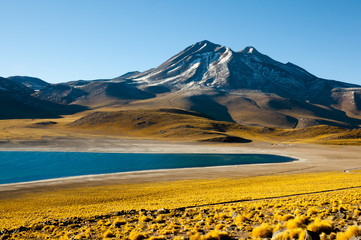 Miscanti Lagoon - Chile