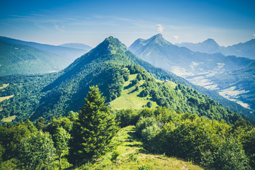 Fototapeta premium Montée à la Pointe de la Galoppaz