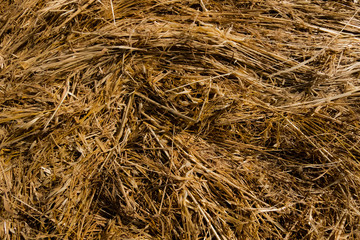Detail of a hay roll texture. Beautiful wallpaper background image of nature.