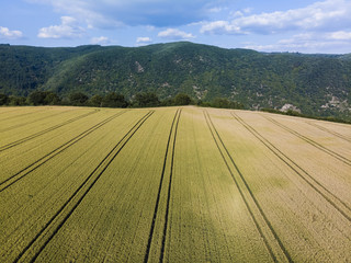 Luftbild, Blick auf den Rhein und Getreidefelder bei Henschhausen, hinten der Rhein, Region Bingen,...