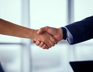 Businessman and businesswoman shake hands on agreement. Businees deal concept, partners concluding...