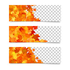 Horizontal banners for websites. Promotional borders templates with yellow and orange leaves