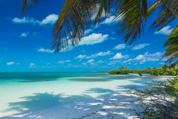 beach and tropical sea