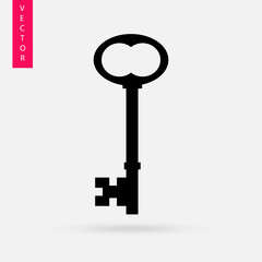Key icon, vector