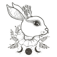 Sketch graphic illustration Circus Rabbit with mystic and occult hand drawn symbols. Vector illustration. Astrological and esoteric concept. Old Fashion Tattoos.