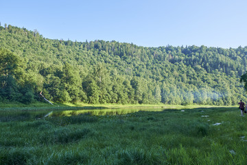 Obraz premium Picturesque mountain river in Russia