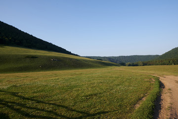 Fototapeta na wymiar large meadows. pasture