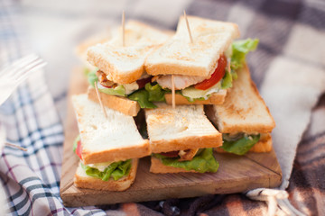 photo outdoor picnic picnic, nature in the garden, snacks, cupboards, close-up