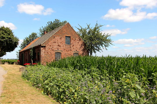 Kotten Bilder Durchsuchen 107 Archivfotos, und Videos