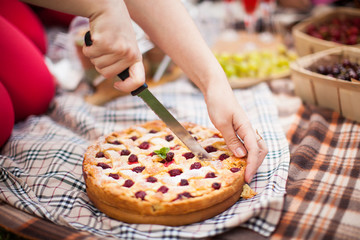 photo outdoor picnic picnic, nature in the garden, baking, pie, cut, close-up
