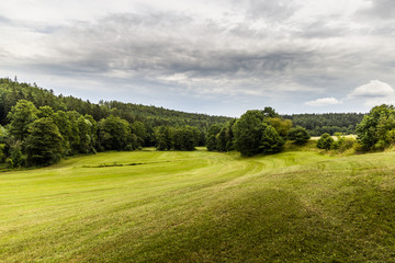 Fototapeta na wymiar Summer landscape in the national park Sumava - Czech Republic