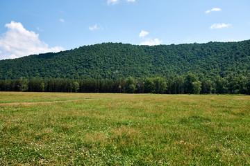 Fototapeta na wymiar pasture on a clear day