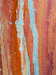 Tree sap colours